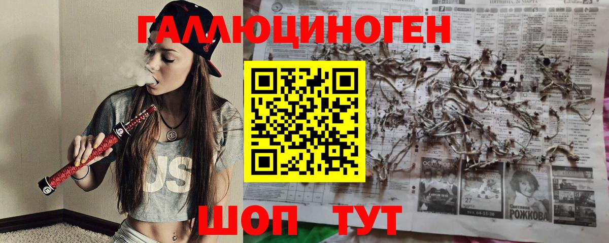 Галлюциногенные грибы прущие грибы Коряжма